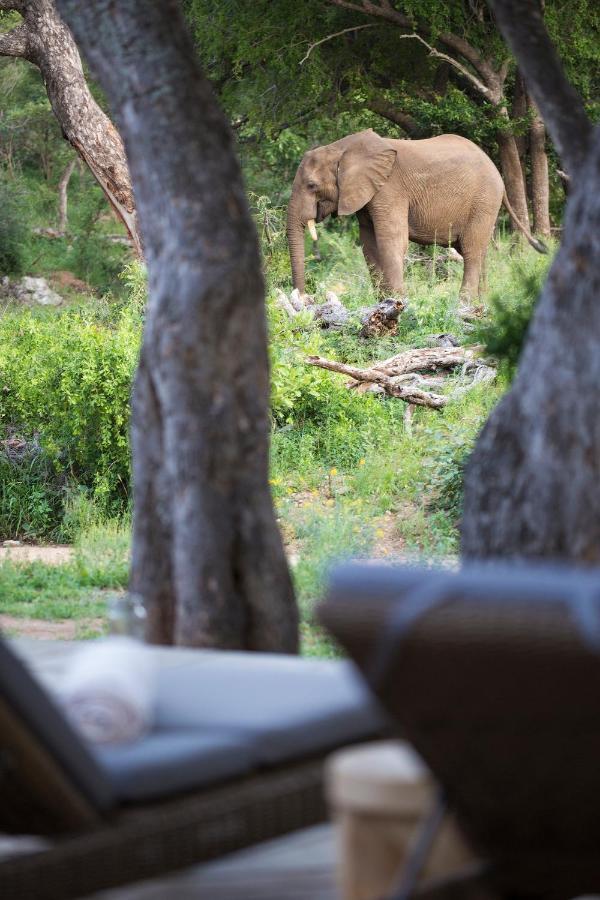 Villa Simbavati Amani Klaserie Private Nature Reserve Esterno foto